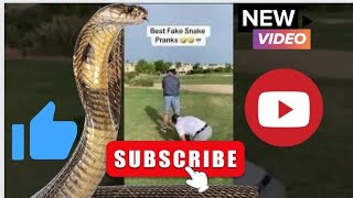 funnysnakebest pranks snake prank at a golf game funny video viral trending [upl. by Ynehpets]