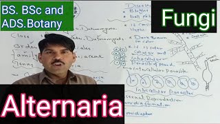 Alternaria complete topic [upl. by Irbua]