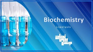 LipolysisLipid Metabolism 3  Bio  L24 [upl. by Goles]