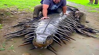 10 Strangest Creatures That Live In The Amazon River [upl. by Pavier579]