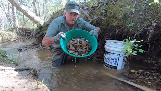 Panning And Sluicing For Gold In A Small Stream [upl. by Essam453]