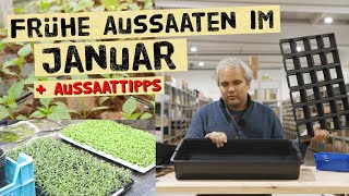 Was kannst du im Januar aussäen  Tipps zur frühen JungpflanzenVoranzucht im Haus [upl. by Lore]