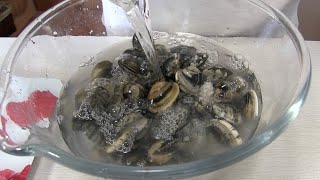 Come Spurgare le Vongole E BILANCIARE LA PERCENTUALE DI SALE PER OTTENERE RICETTE PROFESSIONALI [upl. by Packston]