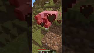 Minecraft mutta kun saan timun video loppuu minecraft shorts [upl. by Sublett867]