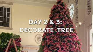 20ft Tall Poinsettia Tree  Cheekwood [upl. by Yxel]