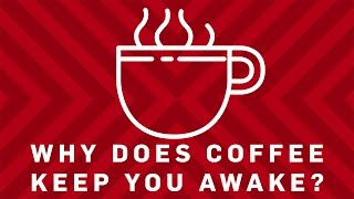 Why Does Coffee Keep You Awake  Earth Science [upl. by Nicks]