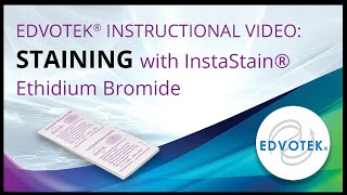 InstaStain® Ethidium Bromide  Edvotek Video Tutorial [upl. by Pond]