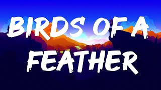 Billie Eilish  BIRDS OF A FEATHER Lyrics [upl. by Enelram]