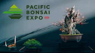 Pacific Bonsai Expo 2024 [upl. by Jeanne]