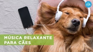 MÚSICA para acalmar cachorro  A melhor música para relaxar seu cão [upl. by Bethena]