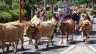 Transhumance 2022 Ã Bozouls [upl. by Jacenta]