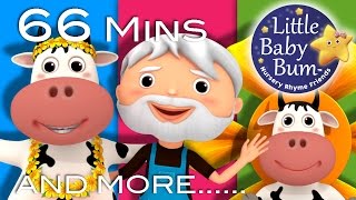 BINGO  Learn with Little Baby Bum  Nursery Rhymes for Babies  Songs for Kids [upl. by Lavud]