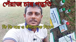 প্রথম থেকে শেষ পর্যন্ত কি কি সার ও কীটনাশক দিবেন পেঁয়াজ চাষে [upl. by Almita]