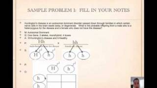 How to Solve Punnett Squares Tutorial [upl. by Sulamith422]