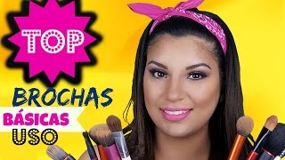 Brochas Básicas de Maquillaje y su Uso PRINCIPIANTES [upl. by Dnob]