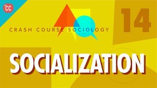 Socialization Crash Course Sociology 14 [upl. by Ididn569]