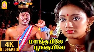 Maanguyilae 4K Video Song மாங்குயிலே பூங்குயிலே Karakattakkaran  Ramarajan  Kanaka  Ilaiyaraaja [upl. by Hasin]