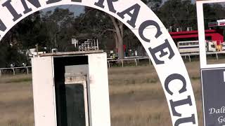 Goondiwindi31072021Race5 [upl. by Esilana]