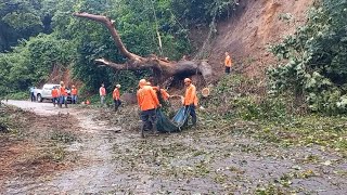 Cuadrillas municipales de Diriamba despejan vías tras caída de árboles en la carretera [upl. by Acinot918]