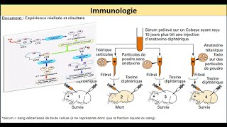 immunologie le systeme immunitaire exercices svt bac 2022 QCM 02 [upl. by Nessaj]