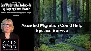 Assisted Migration Could Help Species Survive [upl. by Eenrahc]