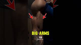 Arms Workout At Gym  Best Exercises For Big Arms  WeGoGym  bicepsworkoutbicepsexercises [upl. by Mateya]