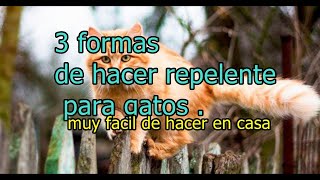 3 REPELENTES PARA GATOS FÁCILES DE HACER EN CASA¡¡ muy efectivos [upl. by Whitcher]