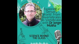 Exploring a Sensory World From Invertebrates to Vertebrates with Dr Jorge Molina [upl. by Pasadis]