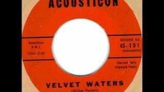 Velvet Waters by The Megatrons on 1959 Acousticon 45 [upl. by Liza]