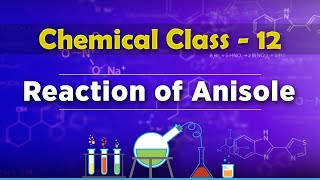 Reaction of Anisole  Alcohols Phenols and Ethers  Chemistry Class 12 [upl. by Barth60]