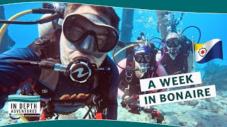 A Week of Diving in Bonaire [upl. by Alekal]