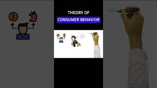 THEORY OF CONSUMER BEHAVIOR consumer consumerbehaviour consumerbehavior macroeconomy economy [upl. by Ecertal]