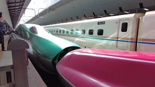 Shinkansen at Tokyo station Japan [upl. by Azrim281]