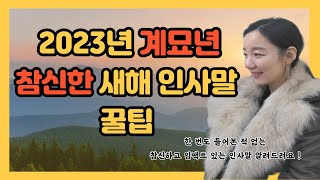 👨‍❤️‍💋‍👨2023년 따끈따끈한 새해 인사말 모음한번도 들어본 적 없는 참신한 인사말 문구 가득해요 [upl. by Repotsirhc]