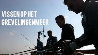 Vissen op het Grevelingenmeer [upl. by Ahsuatal]