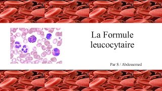 La formule leucocytaire [upl. by Adnohryt]