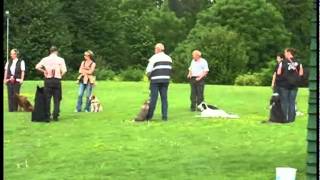 Training auf dem Hundeplatz Balve [upl. by Fortunato]