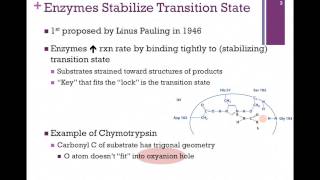 039Transition State Stabilization [upl. by Maxantia645]