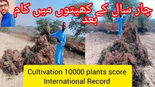 Blochestan  crop cultivation  vlog  Forest amp hills Area sindhpakistan [upl. by Lyman]