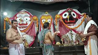 Shri Jagannath Sandhya Arati Darshan 🙏  📅 Date 15Mar2024 [upl. by Ailegave]