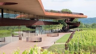 Cantine Antinori [upl. by Kosak]