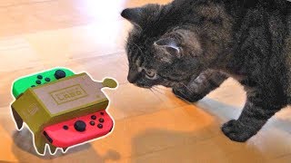 CAT REACTS TO LABO Unboxing Nintendo Labo Piano  RC Car [upl. by Ahsein]