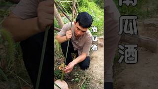 Traditional pumpkin wine making 传统制作南瓜酒 shorts traditional rurallife [upl. by Mistrot]