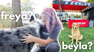 why dont I take Freya with me to race days a pupdate on Freya vs Beyla amp a race weekend vlog [upl. by Sivrat]