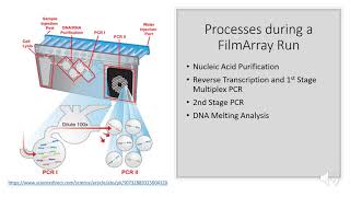 FilmArray GI Panel [upl. by Biggs245]