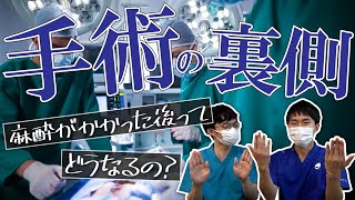 【手術中】全身麻酔で眠ってる間って どんなことをされてるの？【病院の裏側】 [upl. by Afrika]