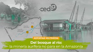 Del bosque al río la minería aurífera no para en la Amazonía [upl. by Yorled55]