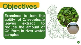 Video PPT Ability of C esculenta reduce Coliform [upl. by Staten871]