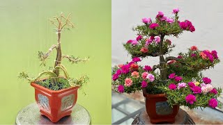 How To Make Moss Rose  Portulaca Grandiflora Bonsai With Small Zinc Sticks  Mẹo Vặt Cuộc Sống [upl. by Flosser158]