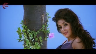 Dheere Dheere Dille Video Song  Seema Tapakai  Allari Naresh Poorna [upl. by Brecher650]